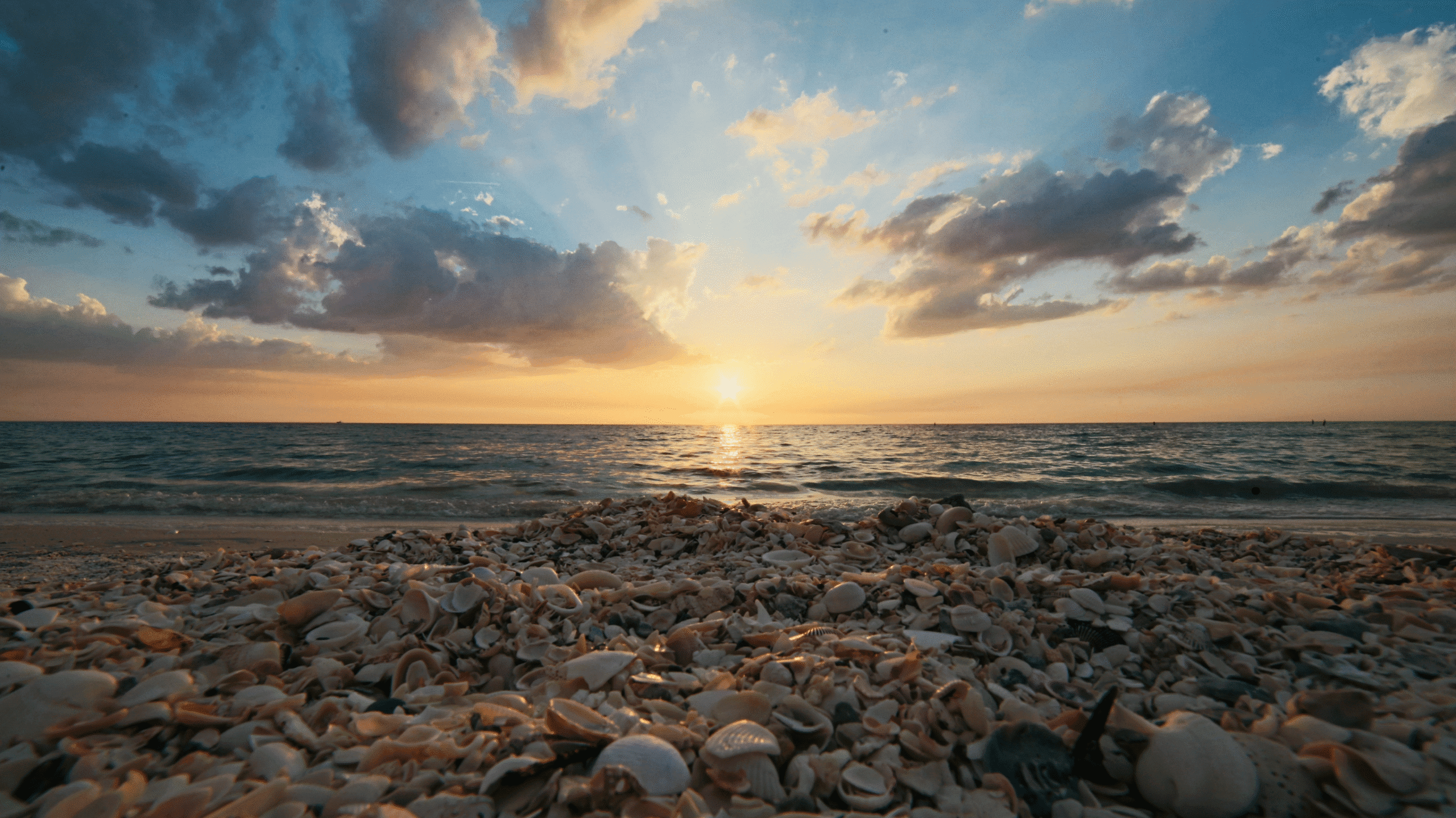 Bringing the Beauty of the Shoreline Home